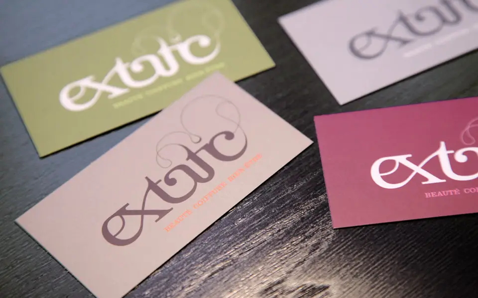 img-2014-extatic-cdv